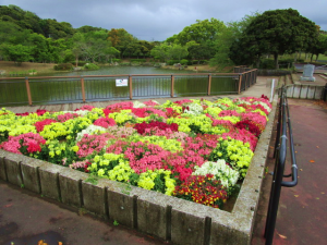 金魚草