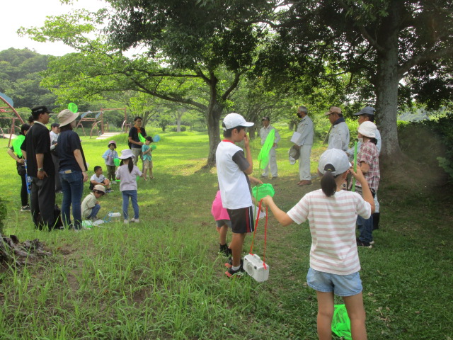 動植物観察会